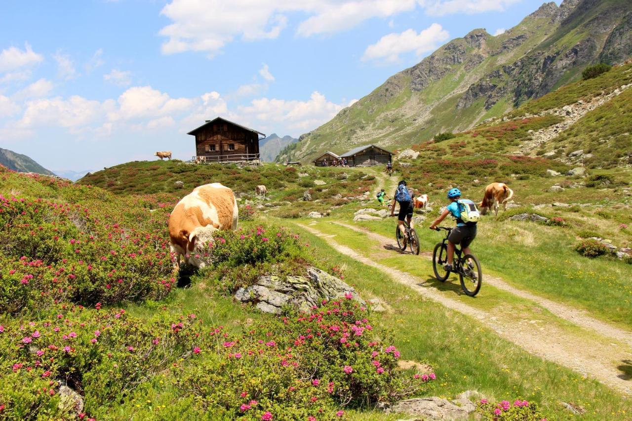Rohrmooser Schloessl Schladming Ngoại thất bức ảnh